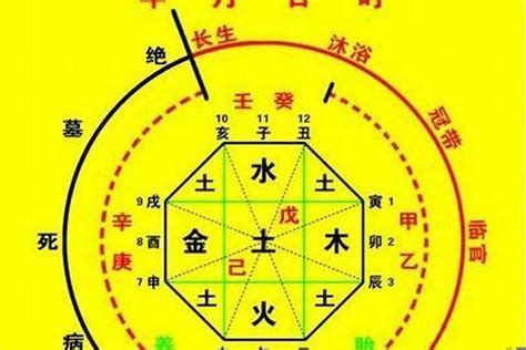 甲辰年八字|生辰八字算命、五行喜用神查詢（免費測算）